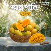 আম্রপালি আম