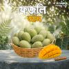 ফজলি আম