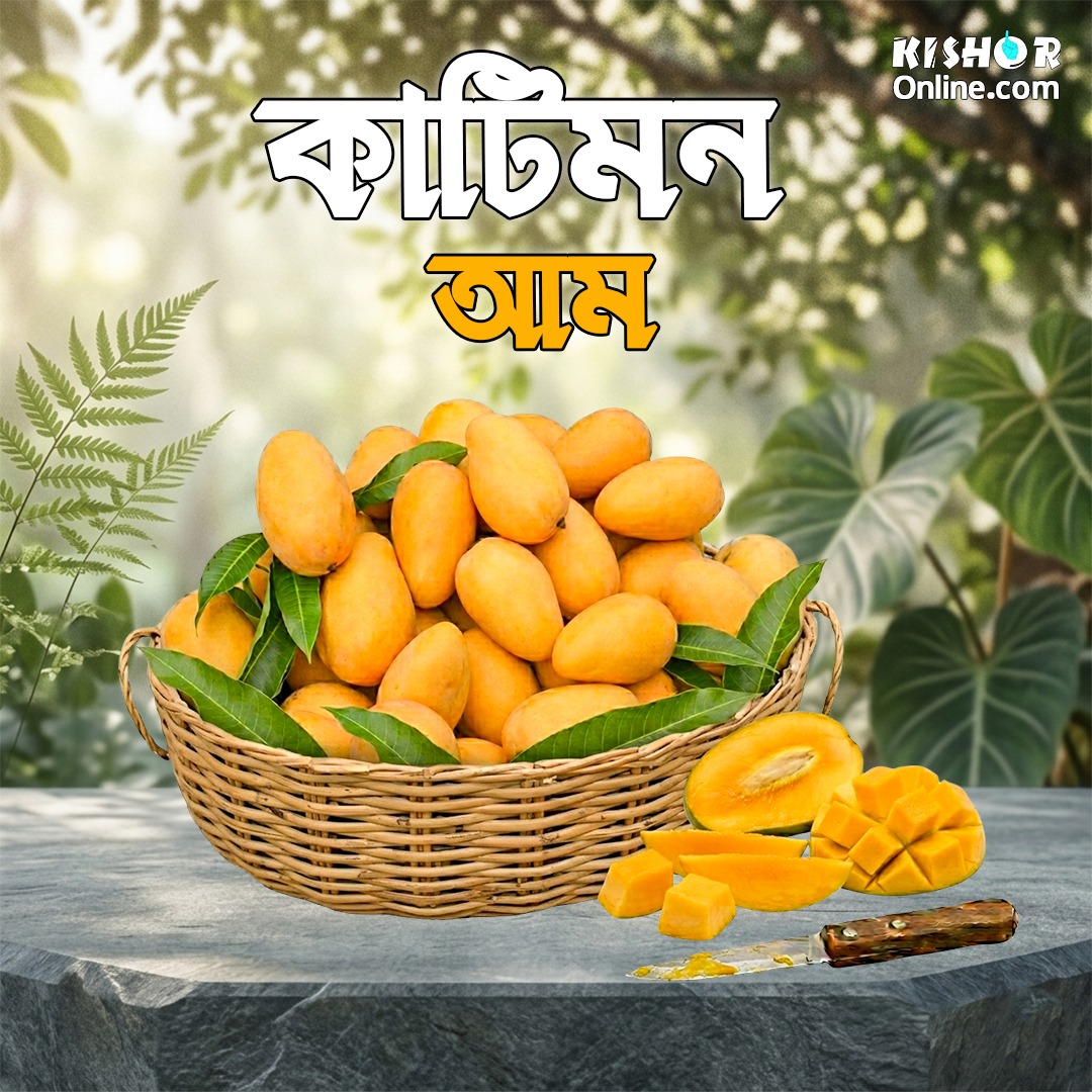 কাটিমন আম