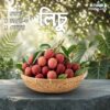 লিচু